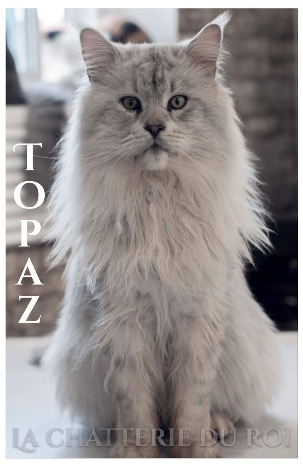 topaz1