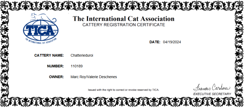 certificat tica